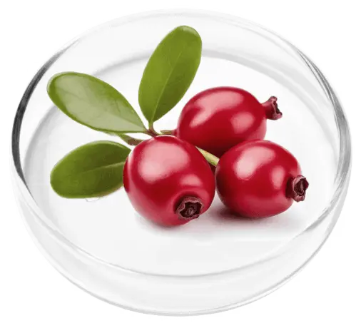 femipro-Cranberry Extract
