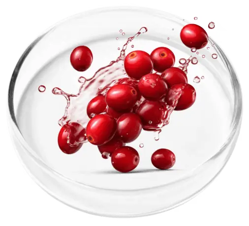 Femipro-Lactobacillus Probiotic Strains